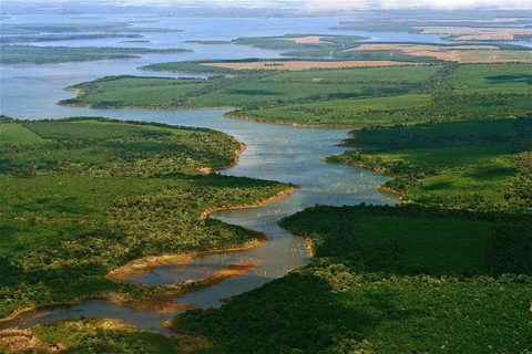 Wetland channels and grasslands in the Esteros del Iberá