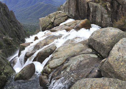 Bright autumn trees — Victoria's High Country