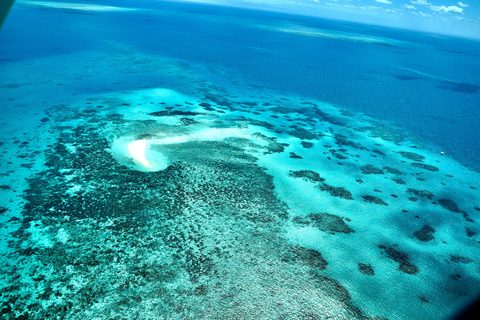 Reef and rainforest meeting at Cape Tribulation