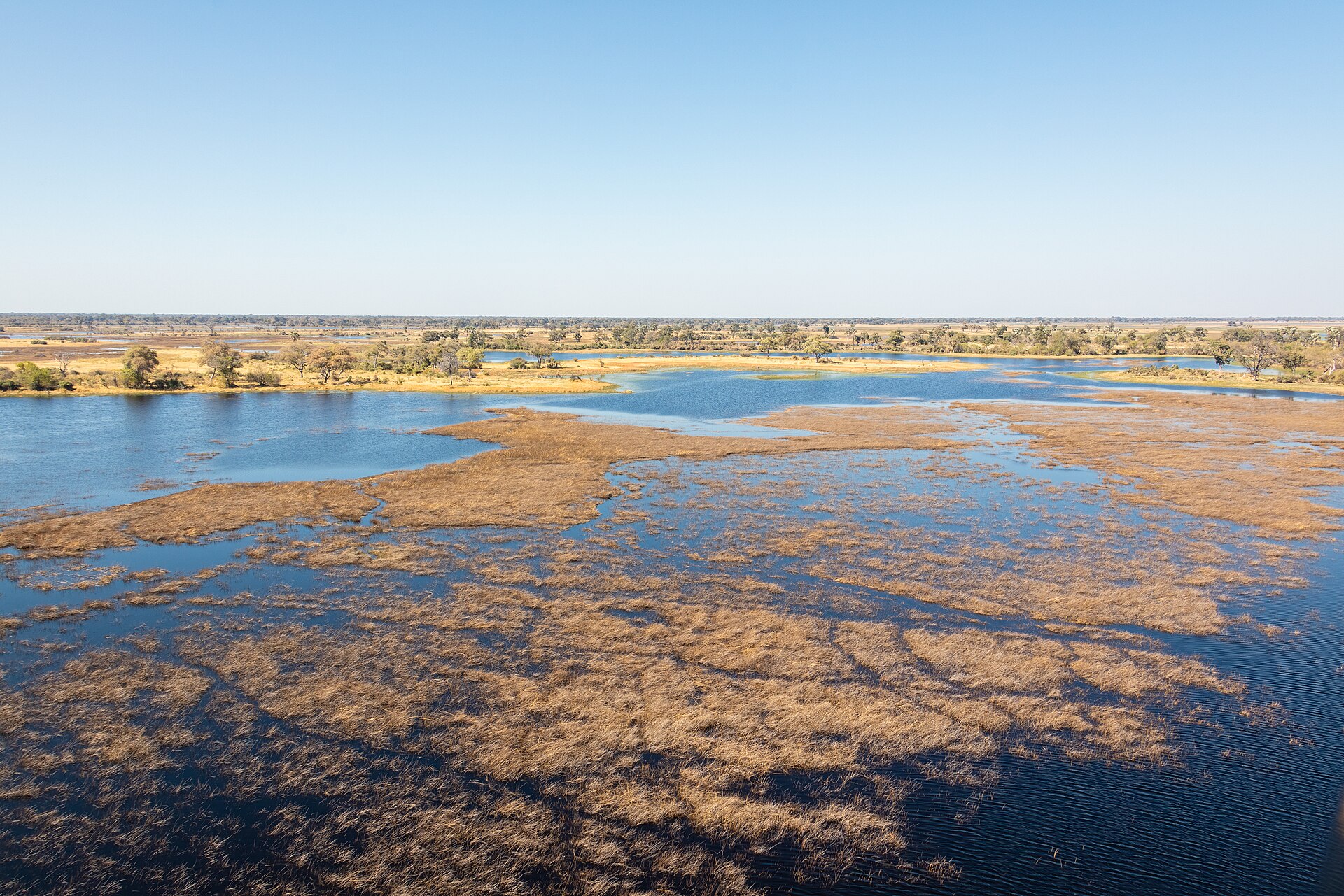 The Okavango's channels braiding from the air