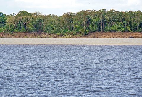 Meeting of waters Manaus — Manaus & the Central Amazon