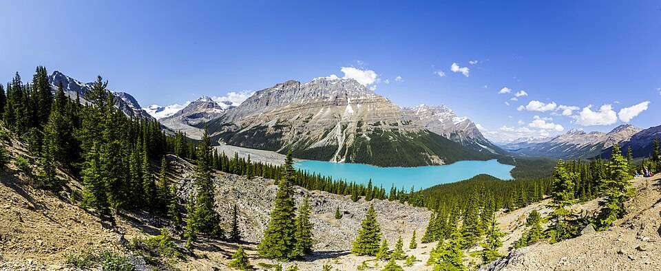 Turquoise Peyto Lake below glaciated peaks on the Icefields Parkway