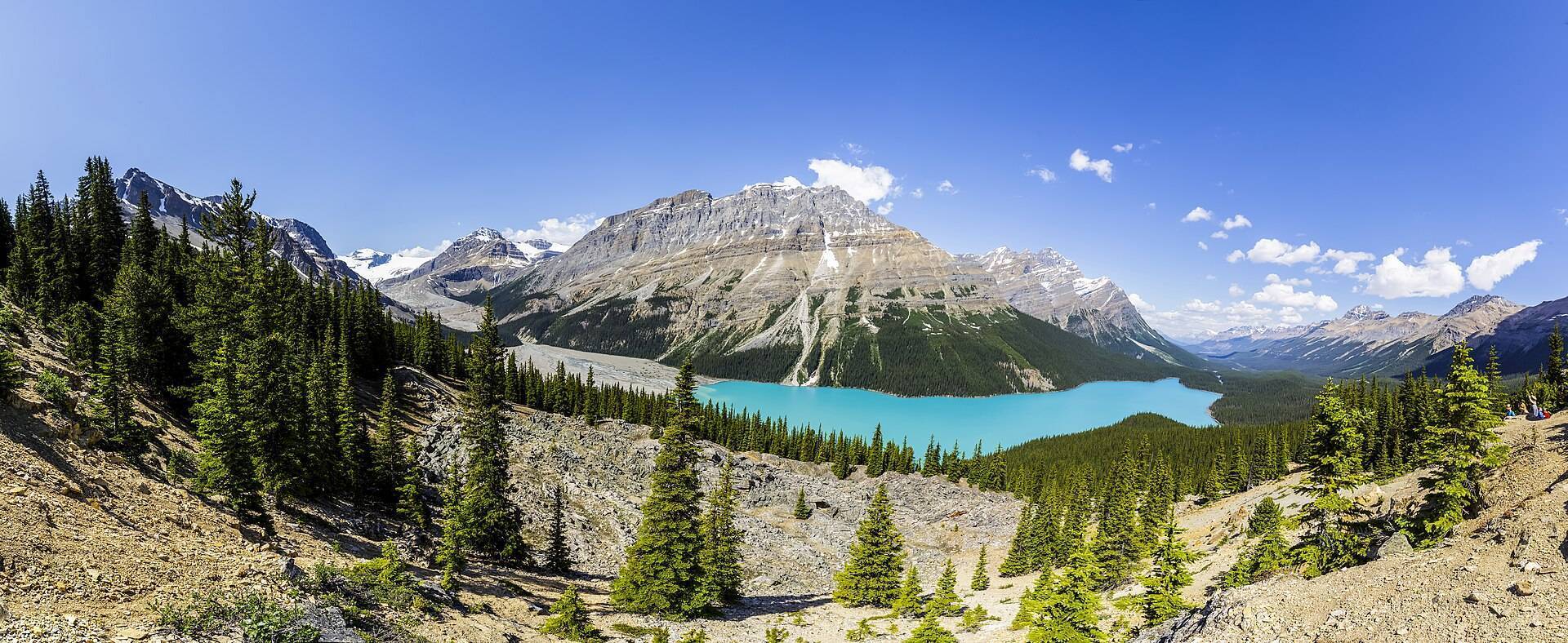 Turquoise Peyto Lake below glaciated peaks on the Icefields Parkway