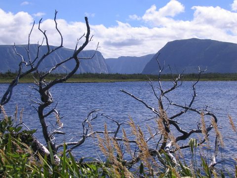 The fjord walls of Western Brook Pond in Gros Morne