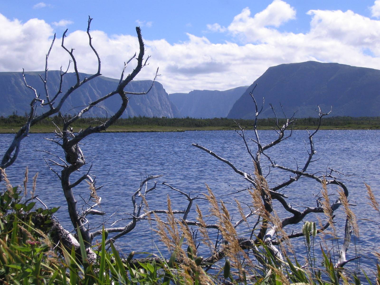 The fjord walls of Western Brook Pond in Gros Morne