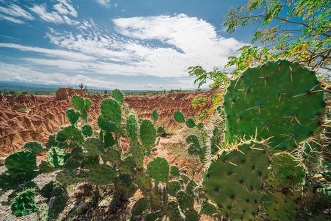 Tatacoa desert red — Huila: Tatacoa & San Agustín