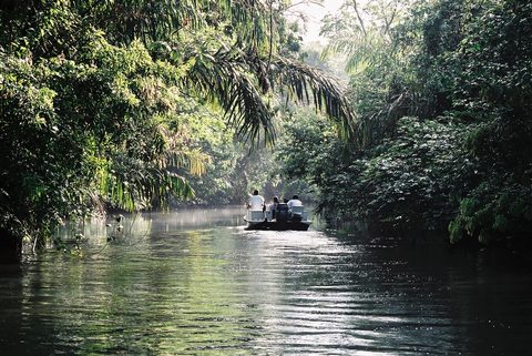 Tortuguero canal boat — Costa Rica's Caribbean Coast