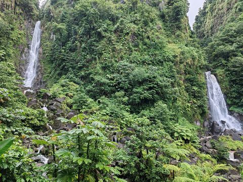 Trafalgar Falls Dominica — The Nature Island