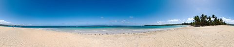 The palm shore of the Samaná peninsula