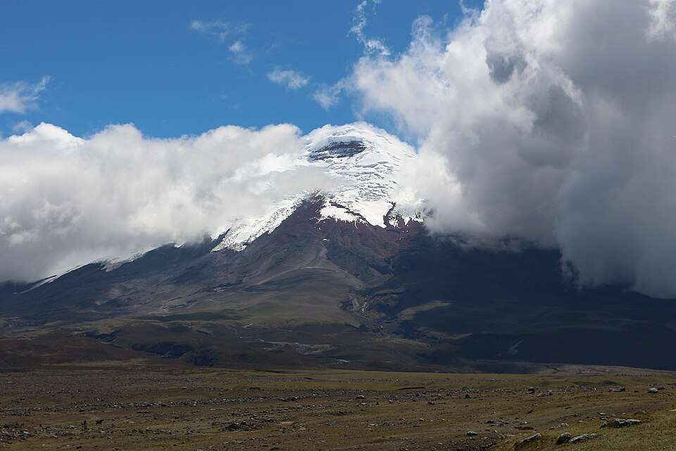 Cotopaxi's snow-capped cone above the páramo grasslands