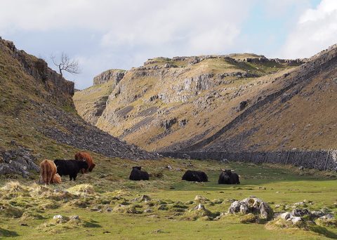 Malham Cove Yorkshire — Yorkshire: Dales to the Moors