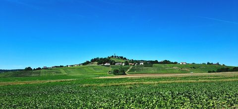 Champagne: Reims to Troyes vineyard Epernay — Champagne: Reims to Troyes