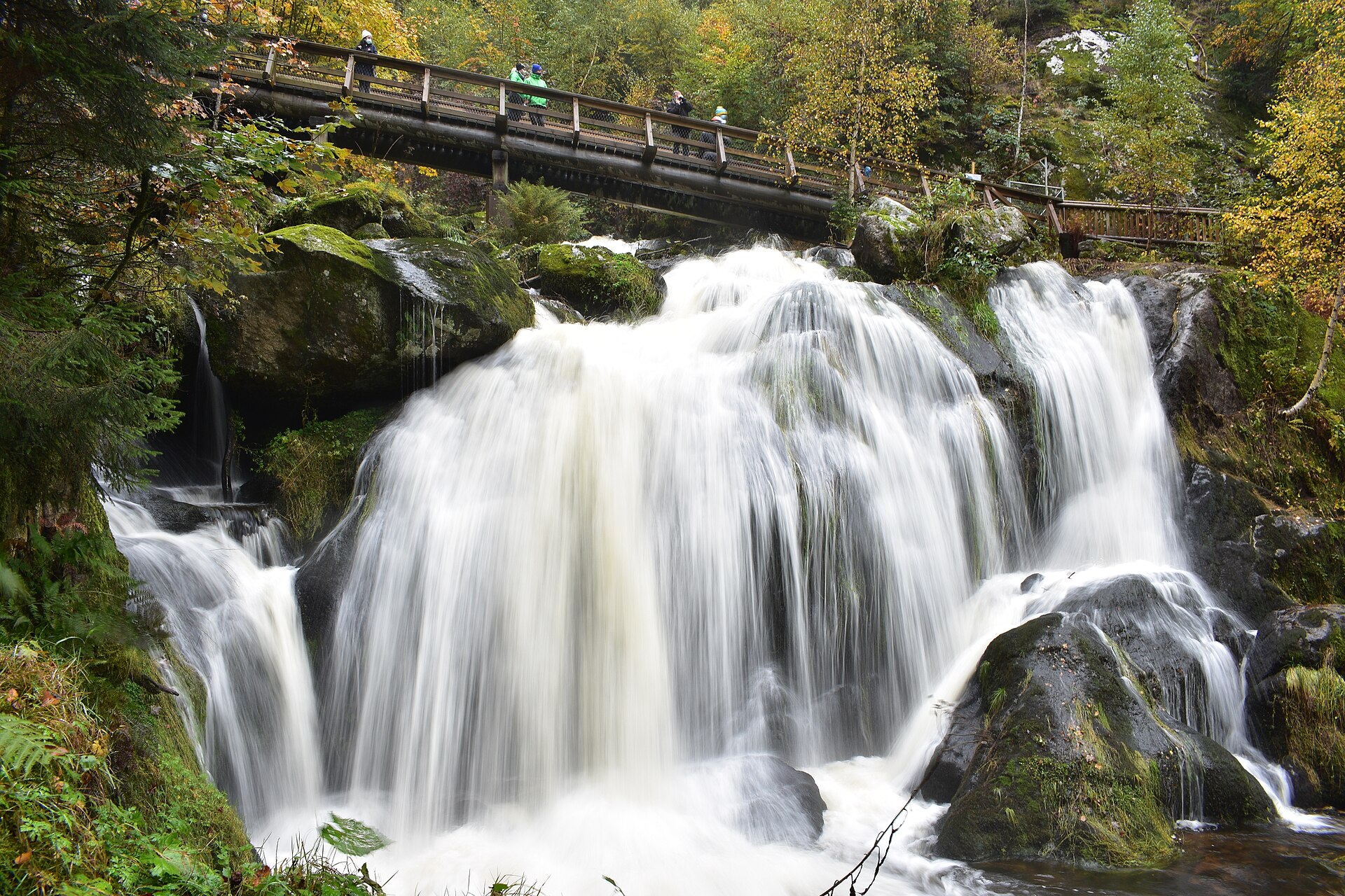 Triberg's falls dropping through dark pines