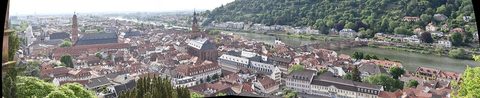 Heidelberg castle Neckar — The Castle Road