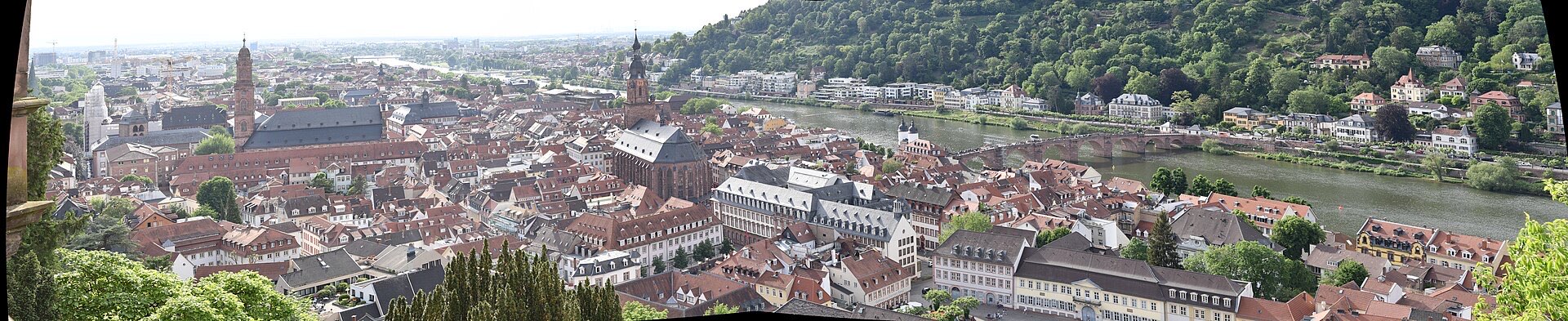 Heidelberg castle Neckar — The Castle Road