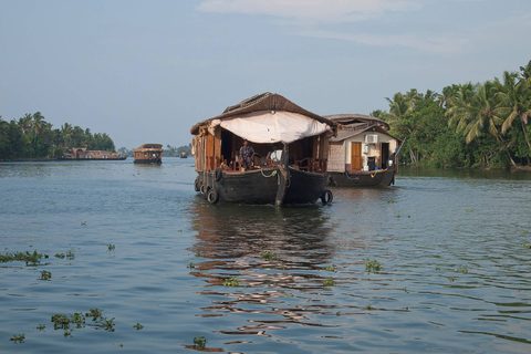 A houseboat gliding Kerala's palm-lined backwaters
