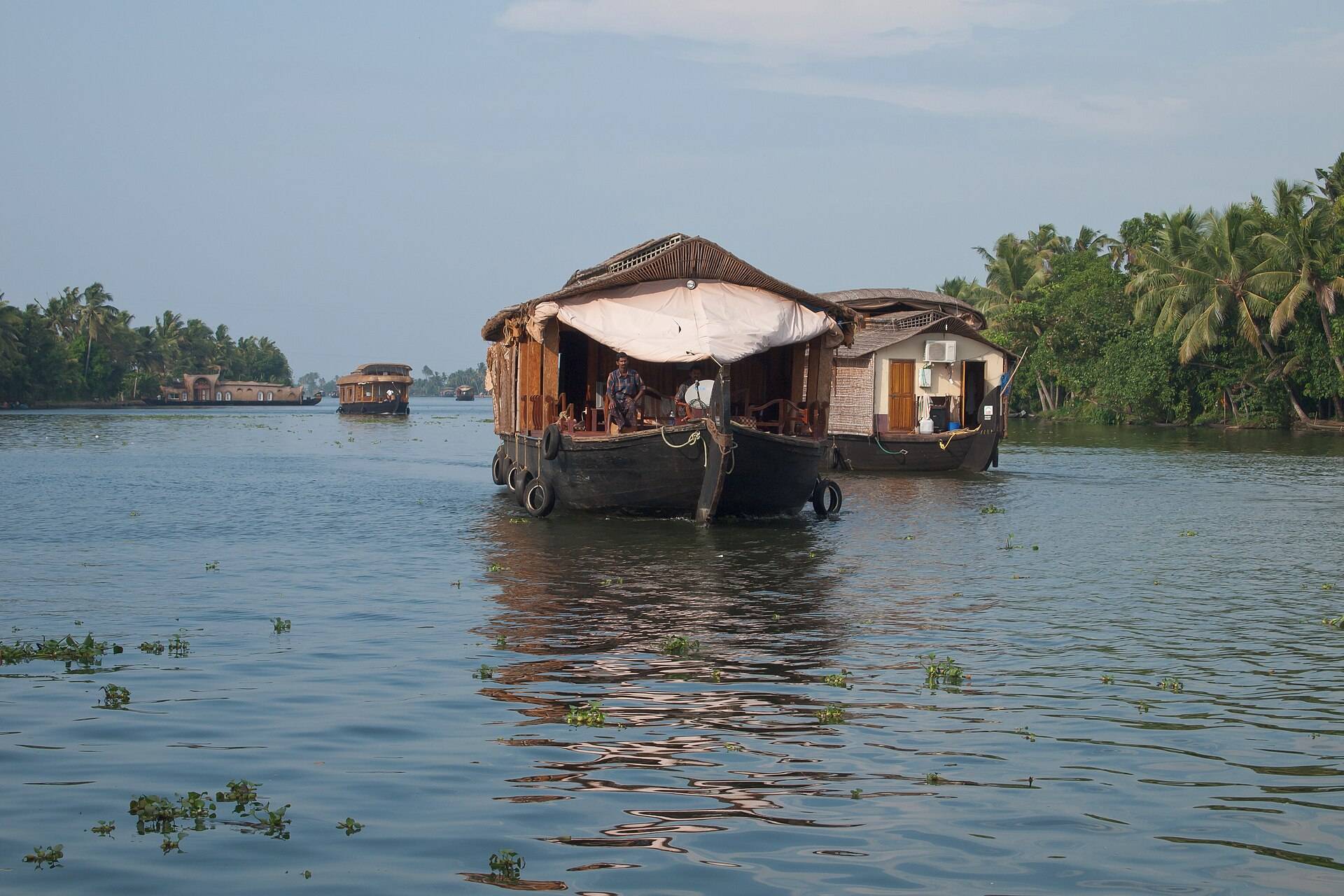 A houseboat gliding Kerala's palm-lined backwaters
