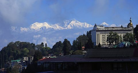 Darjeeling tea Kangchenjunga — Darjeeling & Sikkim