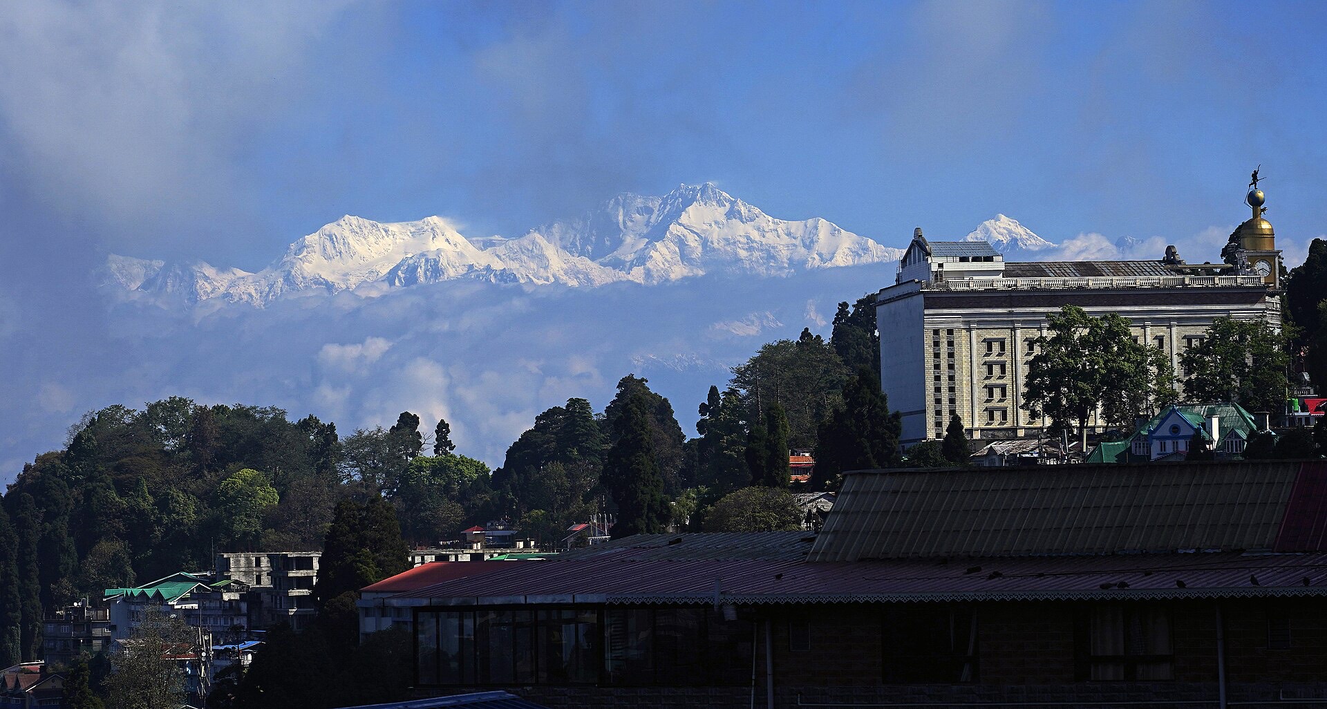Darjeeling tea Kangchenjunga — Darjeeling & Sikkim
