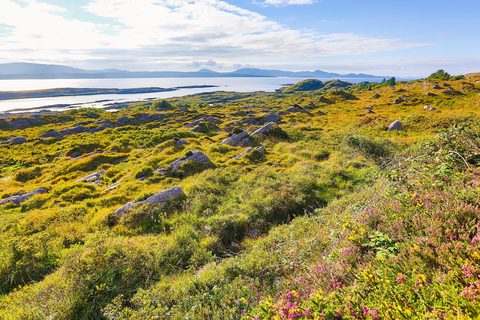 Green headlands and Atlantic water on the Ring of Kerry