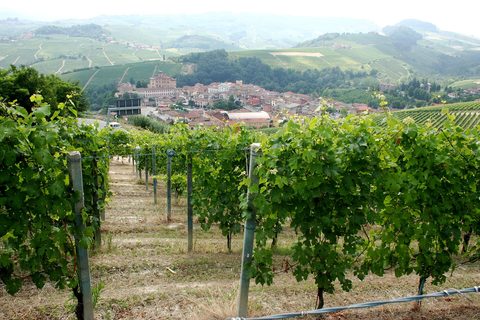Turin Mole Antonelliana Alps — Piedmont: Turin & the Langhe