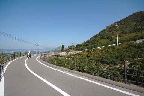 Shimanami Kaido bridge — Setouchi: Art Islands & the Shimanami Kaido
