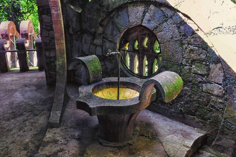 Las Pozas Xilitla — La Huasteca Potosina