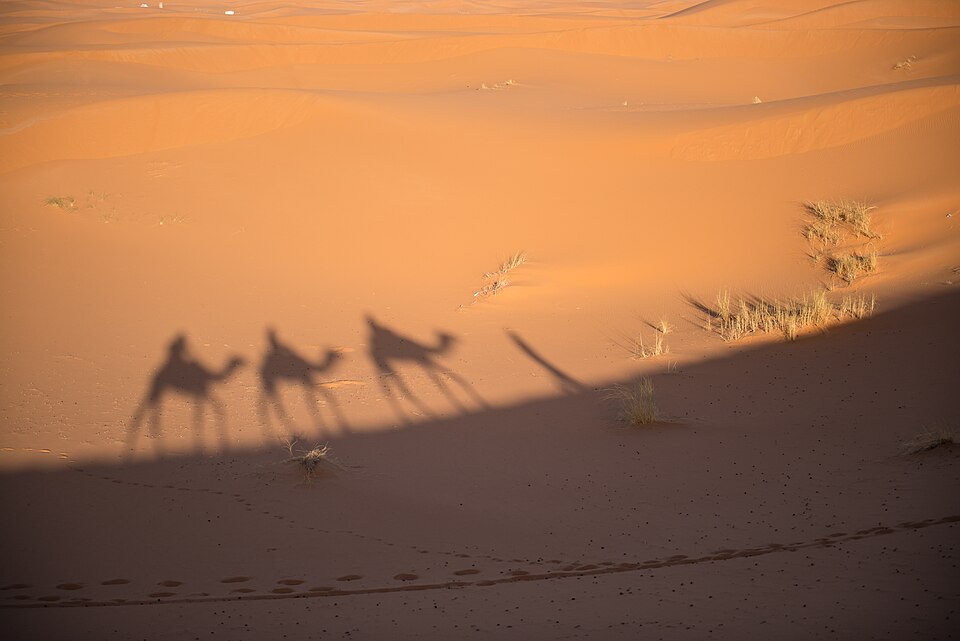 The orange dunes of Erg Chebbi at the Sahara's edge