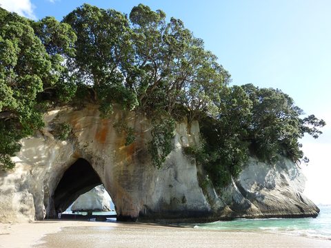 Cathedral Cove arch — The Coromandel