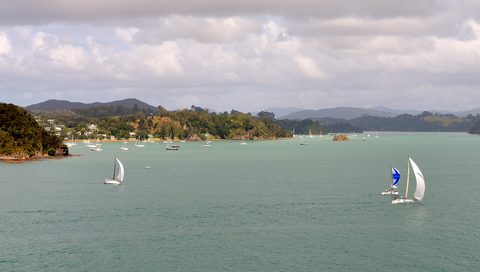 Green islands scattered across the Bay of Islands