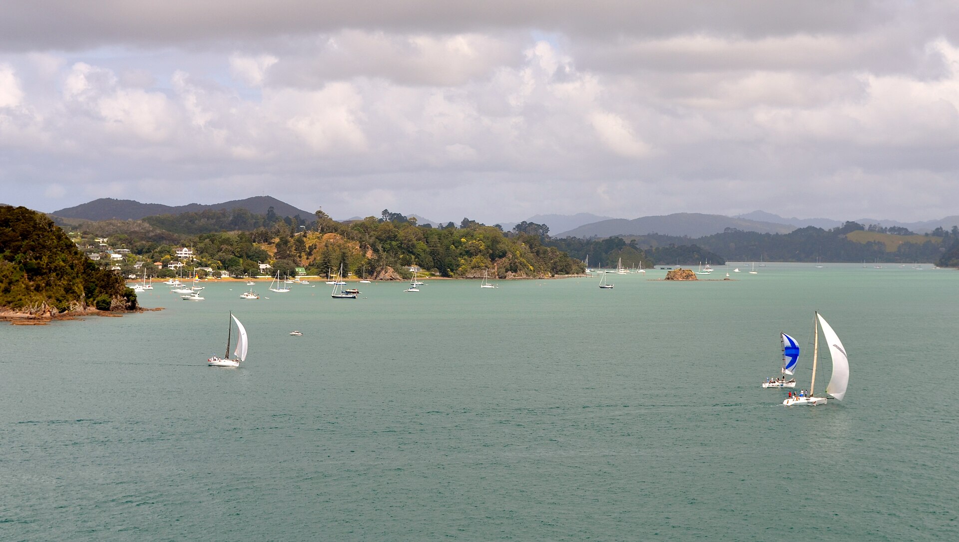 Green islands scattered across the Bay of Islands