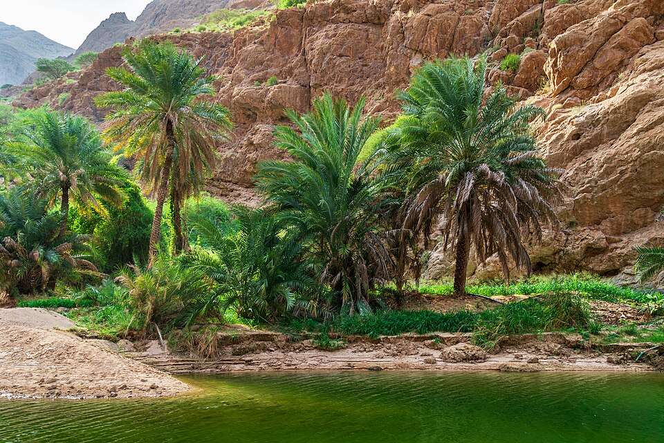Emerald pools winding into the canyon of Wadi Shab