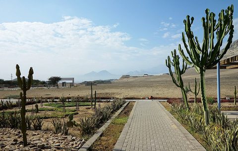 The carved adobe walls of Chan Chan near Trujillo