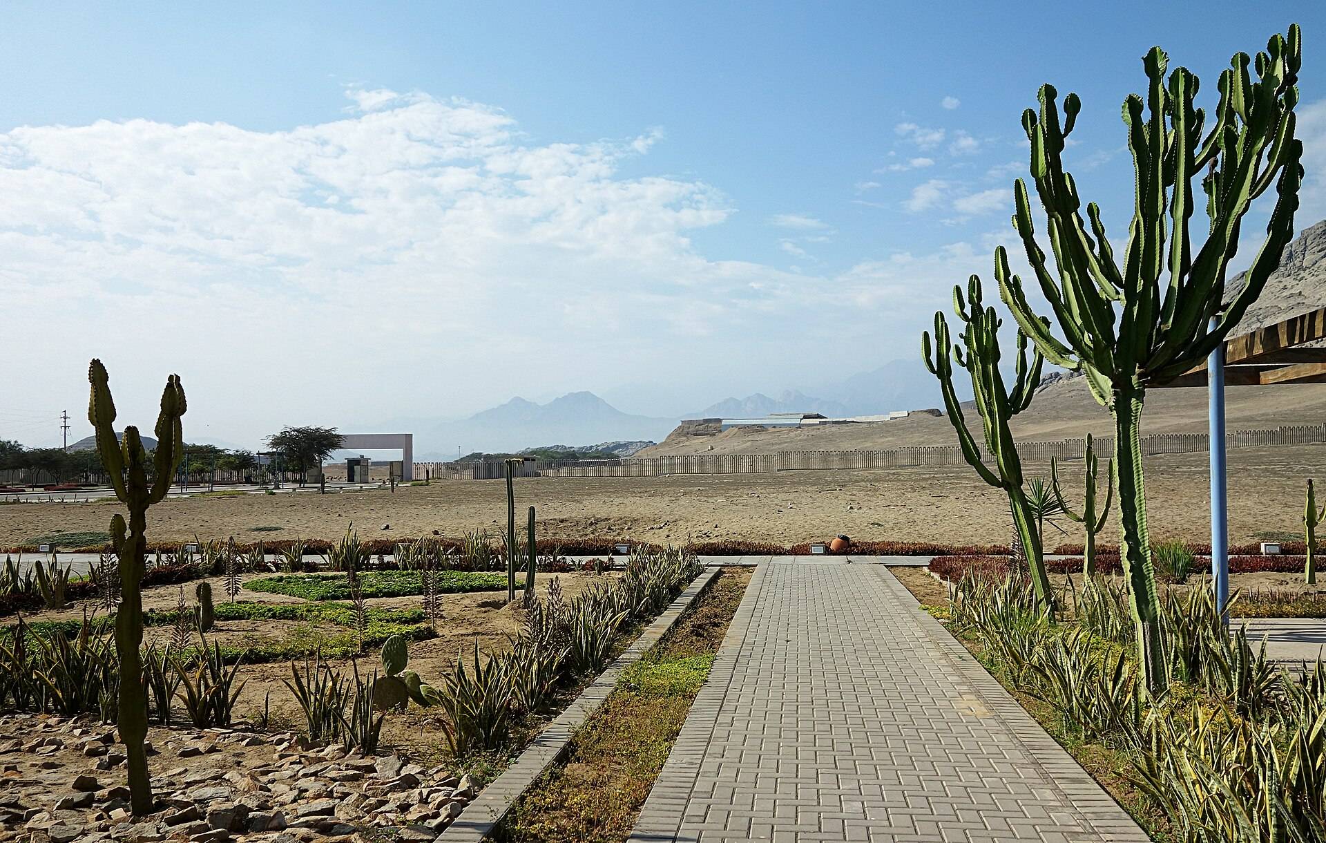 The carved adobe walls of Chan Chan near Trujillo