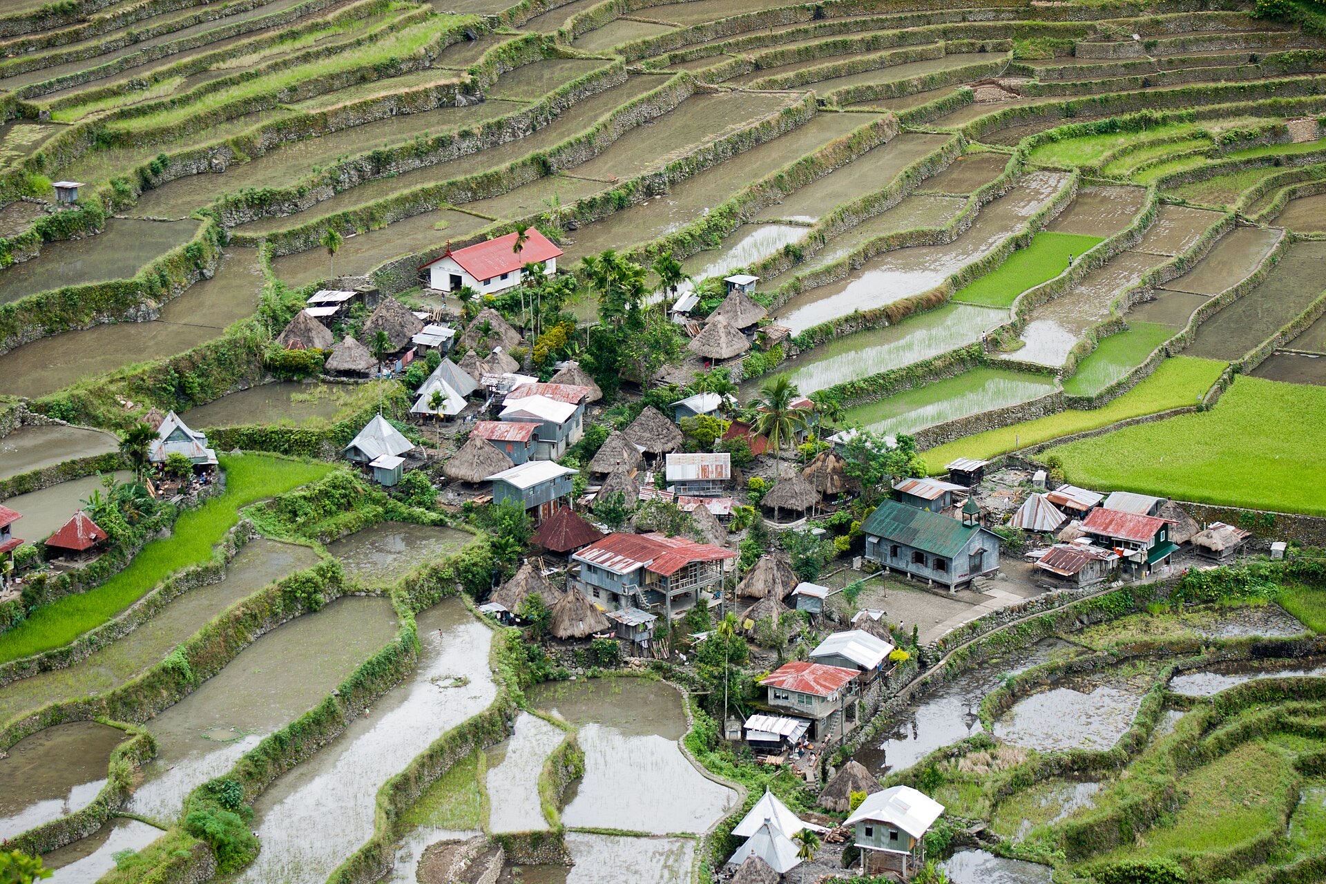 Banaue rice terraces — North Luzon: Baguio, Sagada & Banaue