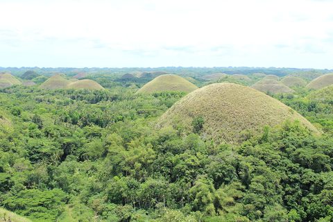 The Chocolate Hills rolling to the horizon