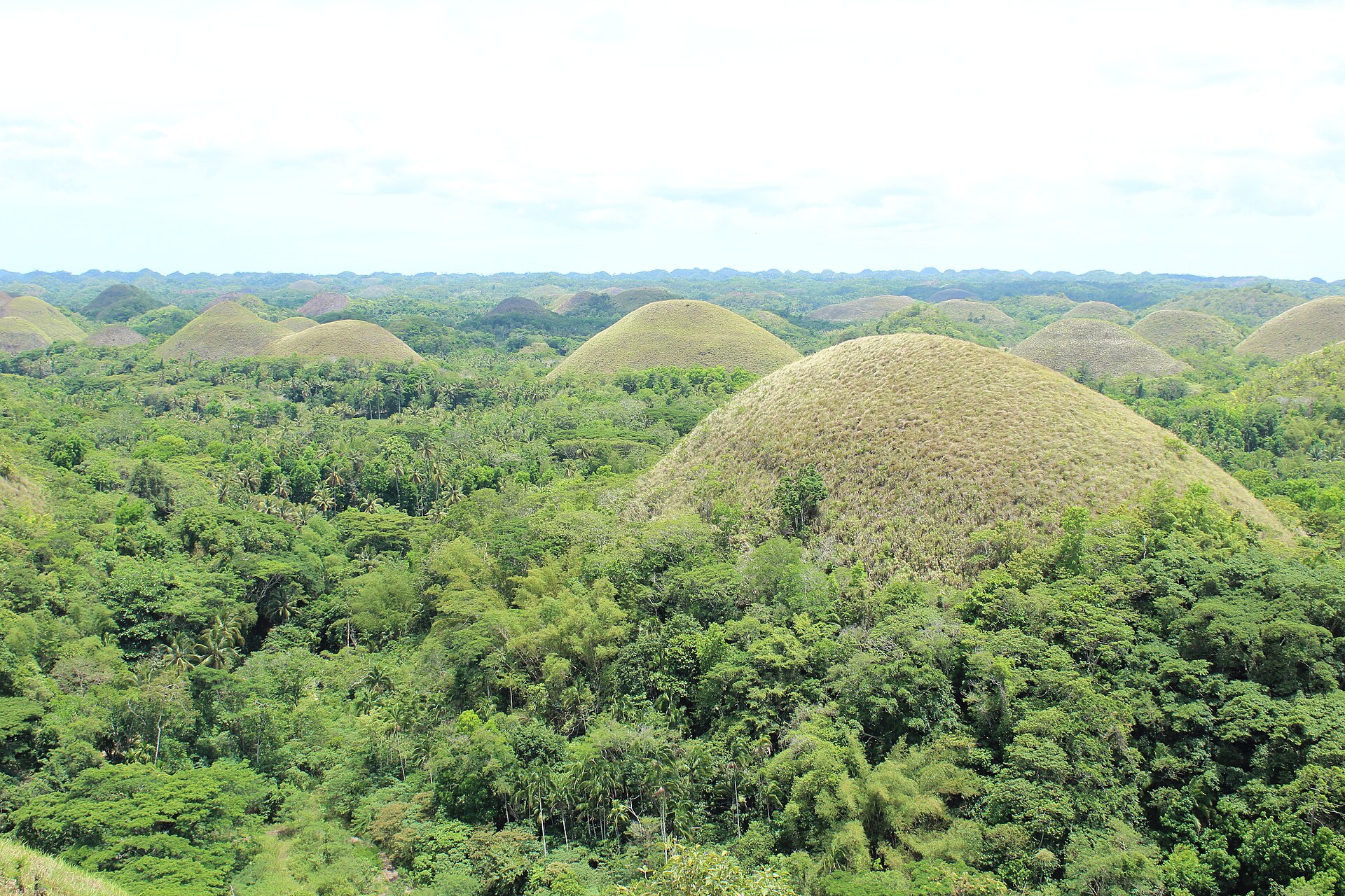 The Chocolate Hills rolling to the horizon