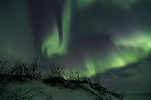 The aurora curling green over Abisko's frozen lake