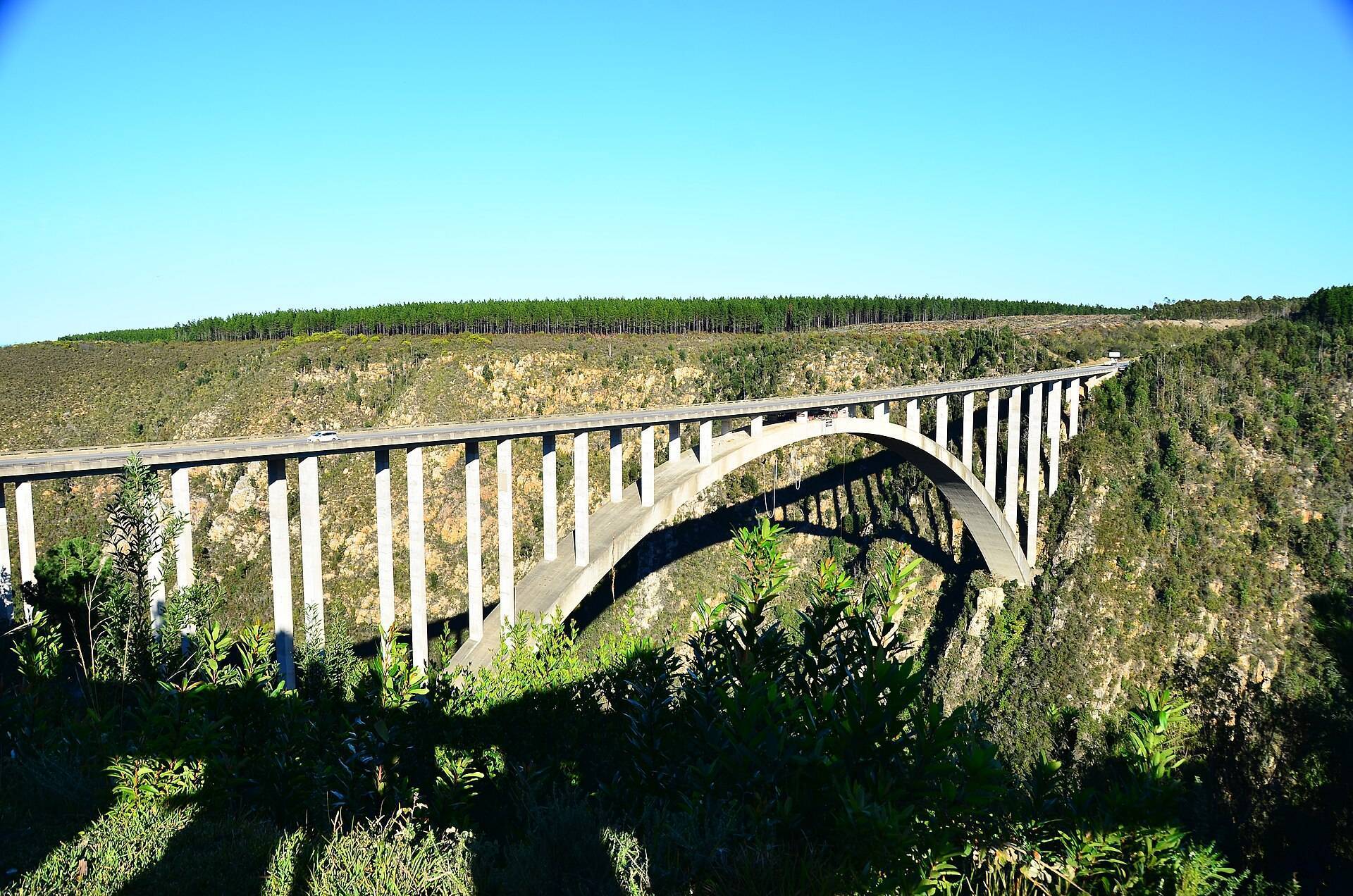 Bloukrans Bridge arching over its forest gorge on the Garden Route