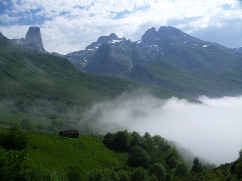 The Picos de Europa above green meadows