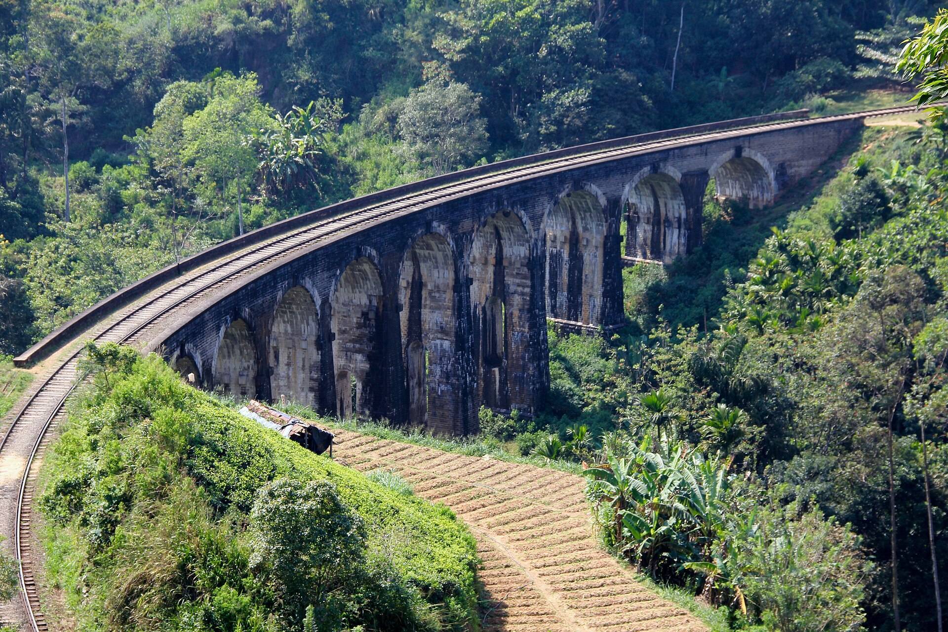 A train crossing Ella's Nine Arch Bridge in the tea hills
