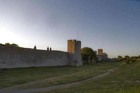Visby city wall roses — Gotland: Visby & the Raukar Coast