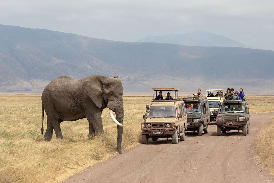 The green floor of Ngorongoro Crater from the rim