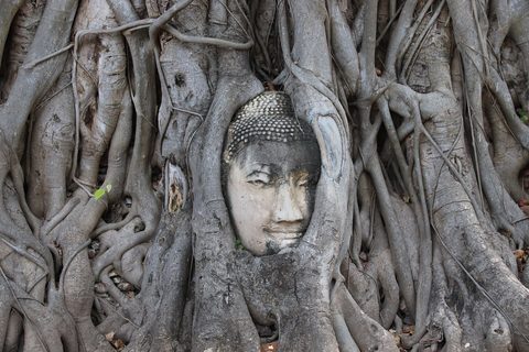 Ayutthaya Buddha head roots — Ayutthaya & the River Kwai