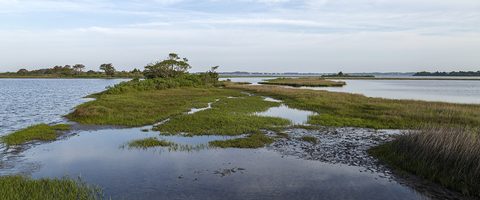 Salt marsh and tidal flats at Assateague Island, Maryland