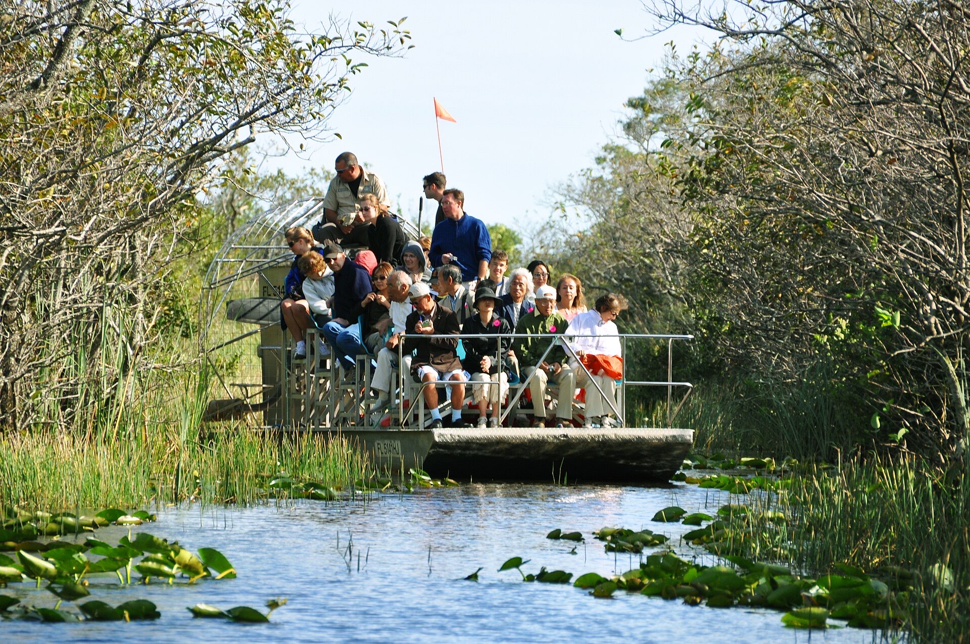 Everglades airboat alligator — Florida's Gulf Coast: Tampa to the Everglades