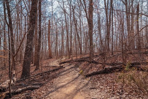 Whitaker Point Hawksbill Crag — The Ozarks: Bentonville to the Buffalo