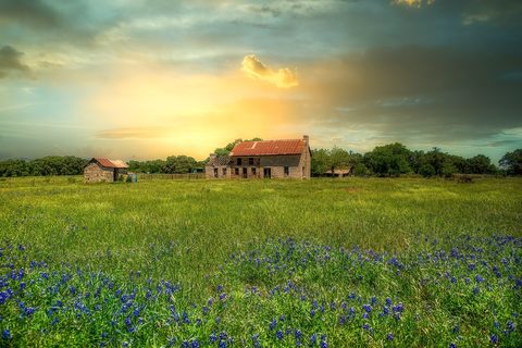 Texas bluebonnets highway — Texas Hill Country