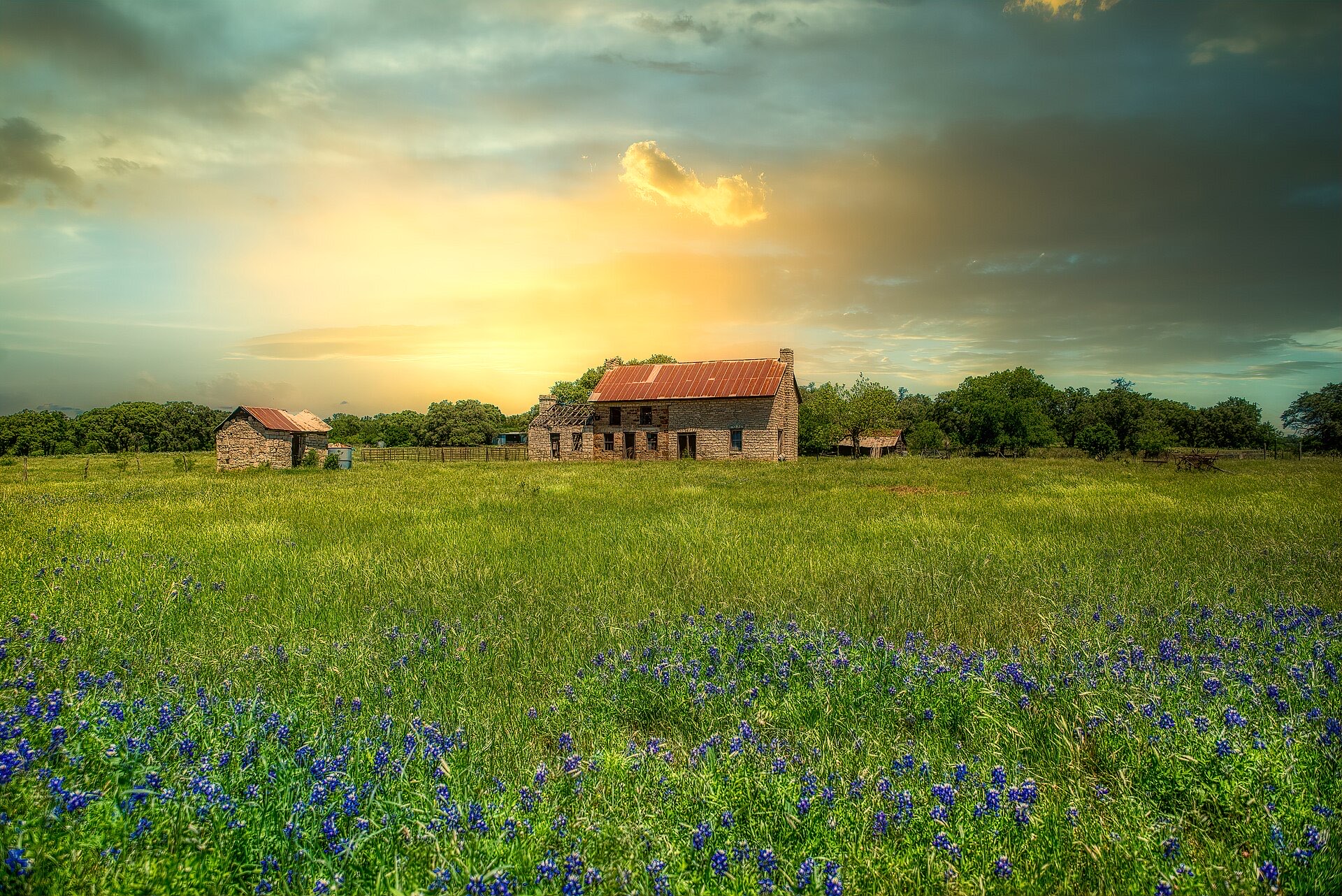 Texas bluebonnets highway — Texas Hill Country