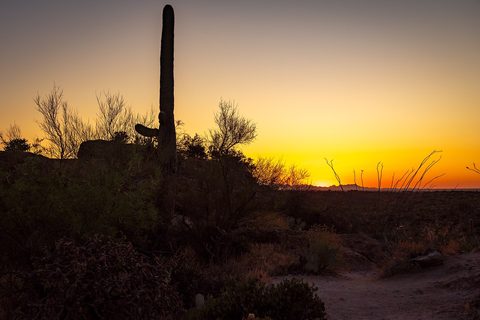 Saguaro National Park sunset — Southern Arizona: Tucson to Bisbee